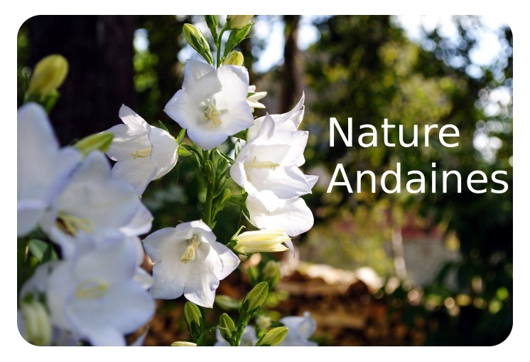 Nature Andaines